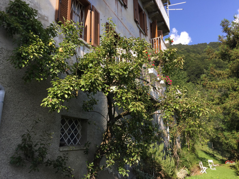 Immagine 2 di Villa in vendita  in Frazione Costa a Fobello