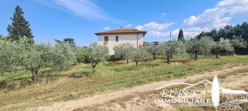 Immagine 1 di Terreno in vendita  in montepulciano a Montepulciano