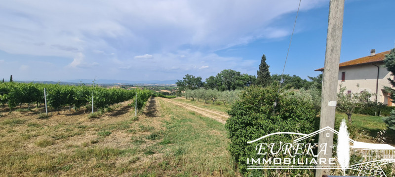 Immagine 6 di Terreno in vendita  in montepulciano a Montepulciano