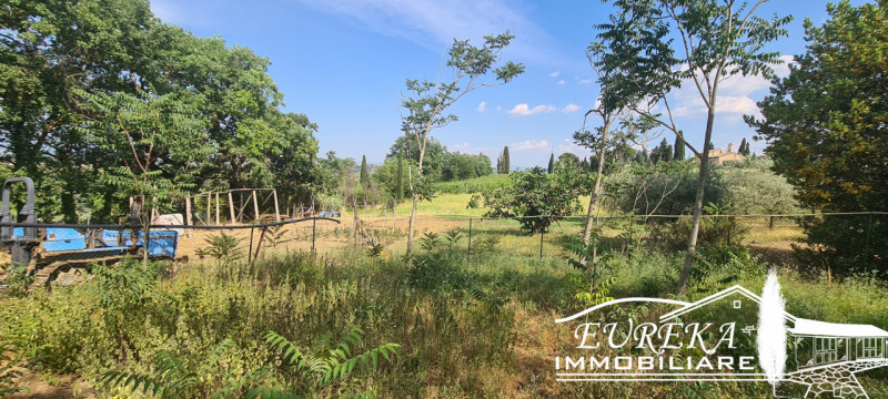 Immagine 8 di Terreno in vendita  in montepulciano a Montepulciano