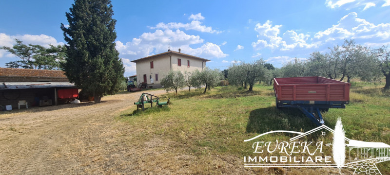 Immagine 9 di Terreno in vendita  in montepulciano a Montepulciano