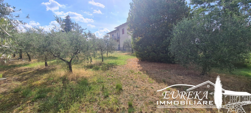 Immagine 11 di Terreno in vendita  in montepulciano a Montepulciano