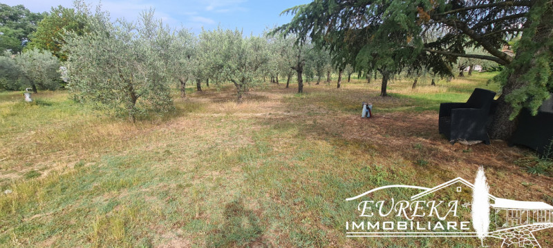 Immagine 12 di Terreno in vendita  in montepulciano a Montepulciano