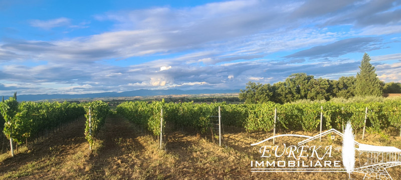 Immagine 20 di Terreno in vendita  in montepulciano a Montepulciano