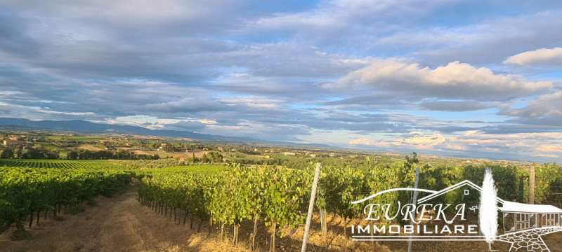 Immagine 21 di Terreno in vendita  in montepulciano a Montepulciano