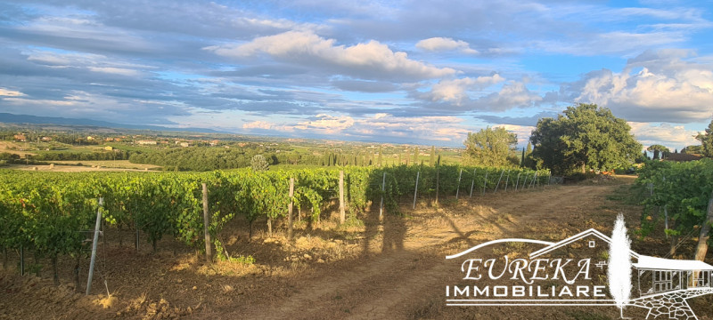 Immagine 22 di Terreno in vendita  in montepulciano a Montepulciano