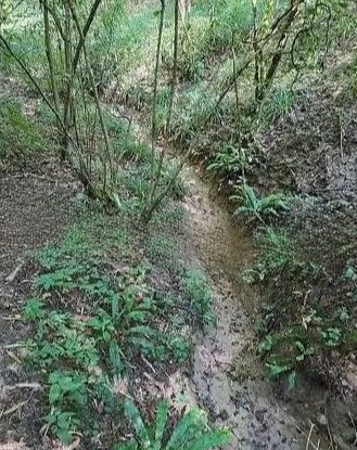 Immagine 1 di Terreno in vendita  in Campea a Miane