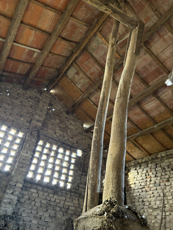 Immagine 21 di Casa indipendente in vendita  in via vallongo 40 a Tribano