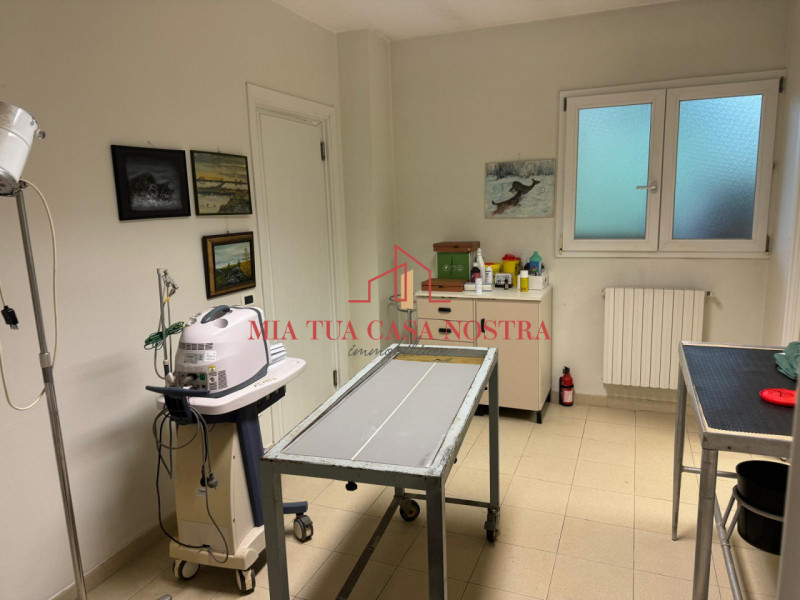 Foto annuncio 9