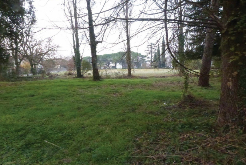 Immagine 13 di Villa in vendita  in Via Roma, 8 a Codognè