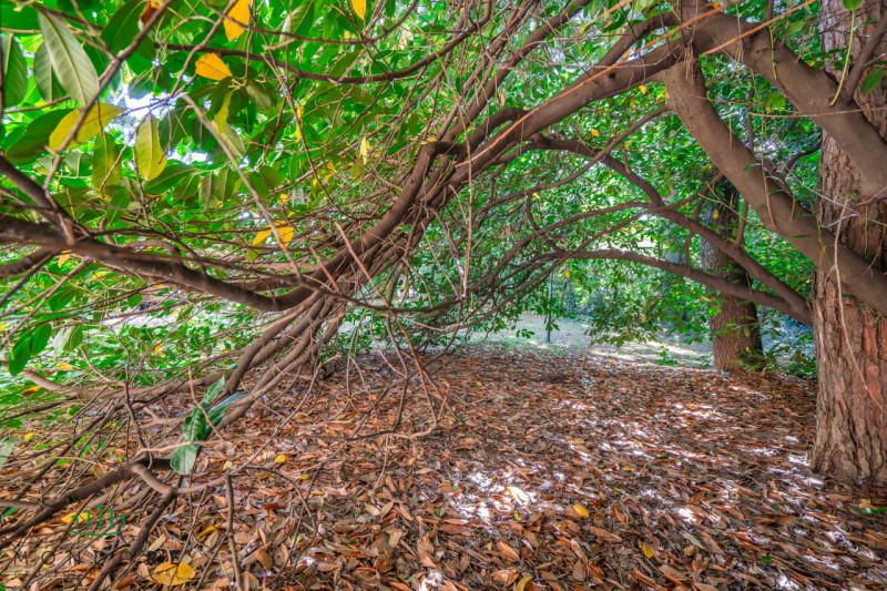 Immagine 88 di Villa in vendita  in Via Lagune a Sasso Marconi