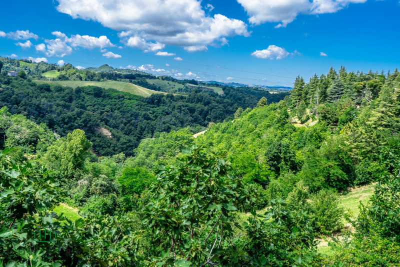 Immagine 89 di Villa in vendita  in Via Lagune a Sasso Marconi