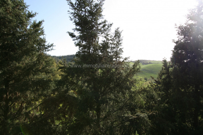 Immagine 4 di Rustico / casale in vendita  a Trequanda