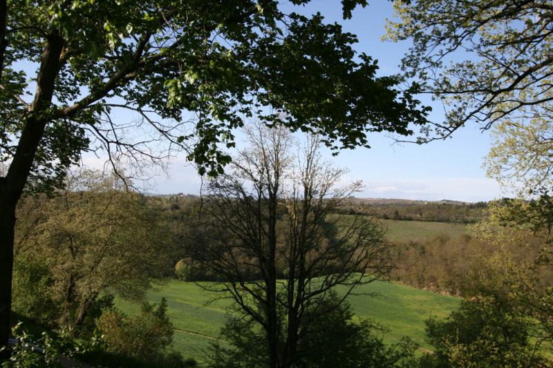 Immagine 5 di Rustico / casale in vendita  a Trequanda