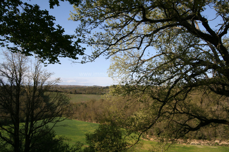 Immagine 6 di Rustico / casale in vendita  a Trequanda