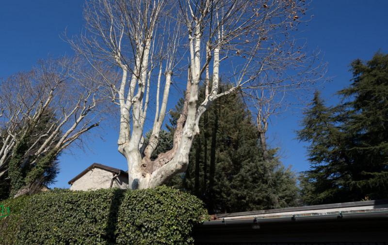 Immagine 8 di Casa indipendente in vendita  in via dell'orologio a Sasso Marconi
