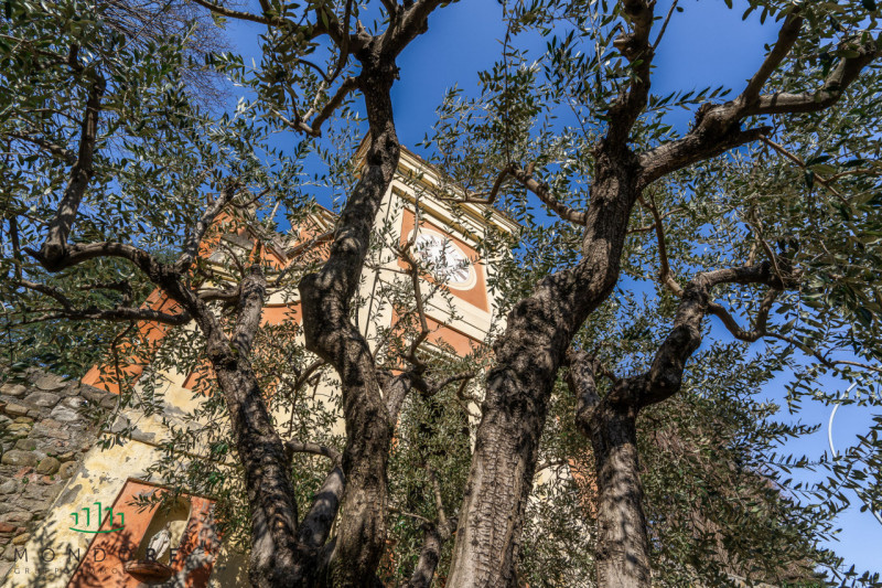 Immagine 19 di Casa indipendente in vendita  in via dell'orologio a Sasso Marconi