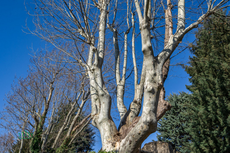 Immagine 28 di Casa indipendente in vendita  in via dell'orologio a Sasso Marconi