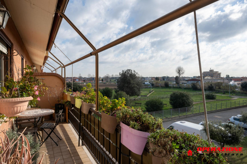 Immagine 5 di Appartamento in vendita  in via amico bignani a Fiumicino