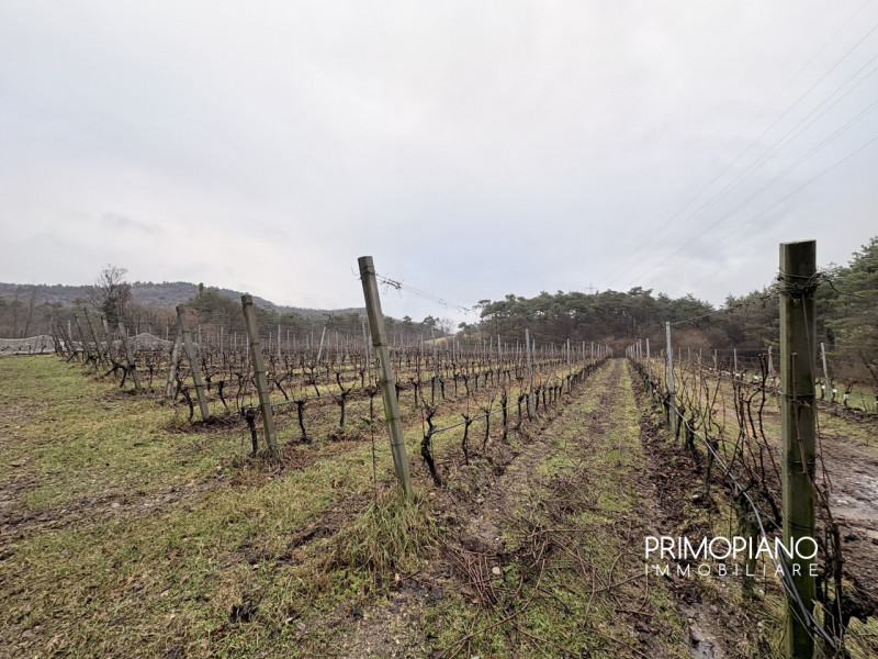 Immagine 1 di Terreno in vendita  in Strada Statale Gardesana Occidentale a Vallelaghi