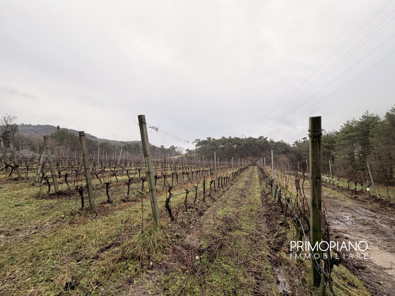 Immagine 2 di Terreno in vendita  in Strada Statale Gardesana Occidentale a Vallelaghi