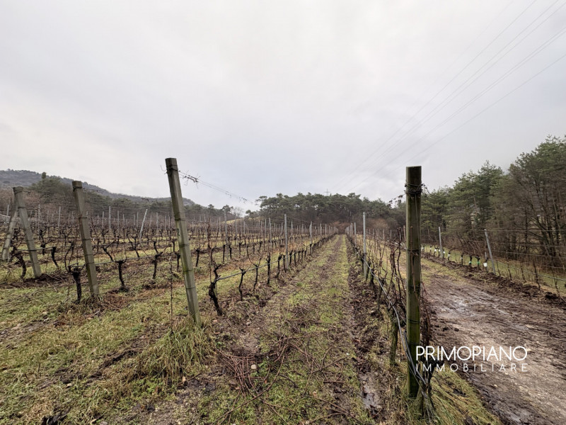 Immagine 3 di Terreno in vendita  in Strada Statale Gardesana Occidentale a Vallelaghi