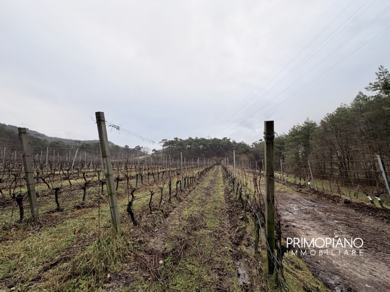Immagine 4 di Terreno in vendita  in Strada Statale Gardesana Occidentale a Vallelaghi