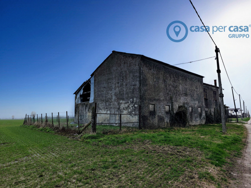 Immagine 3 di Casa indipendente in vendita  a Vescovana