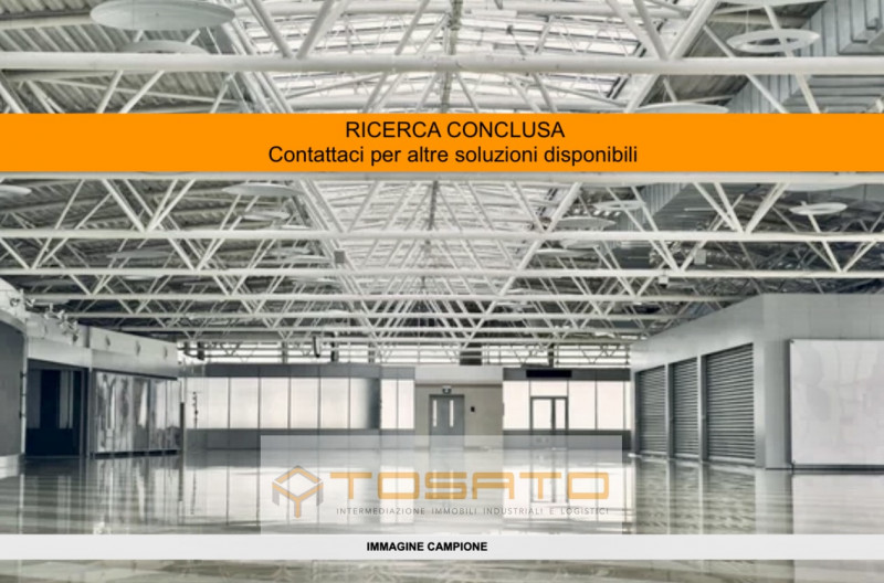 Immagine 1 di Capannone industriale in affitto  a Cavaion Veronese