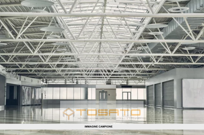 Immagine 4 di Capannone industriale in affitto  a Cavaion Veronese