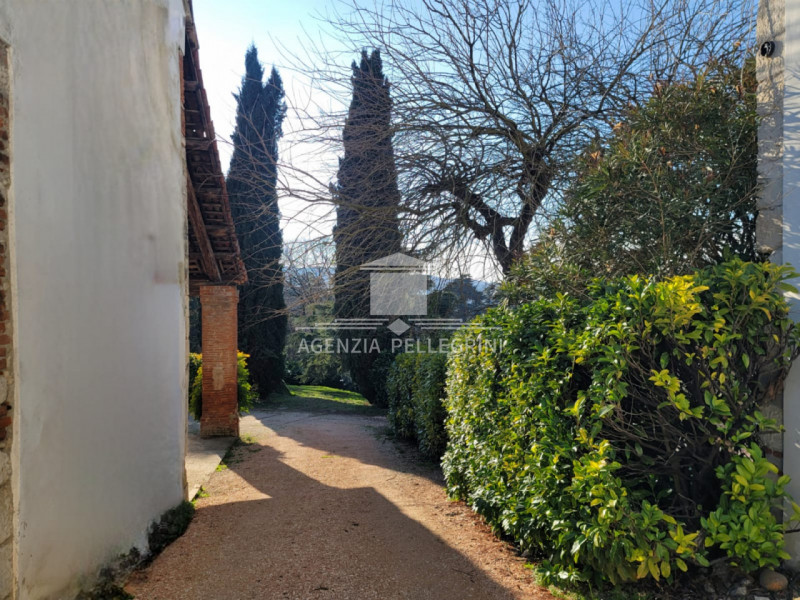 Foto annuncio 18