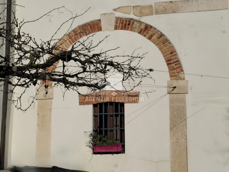 Foto annuncio 45