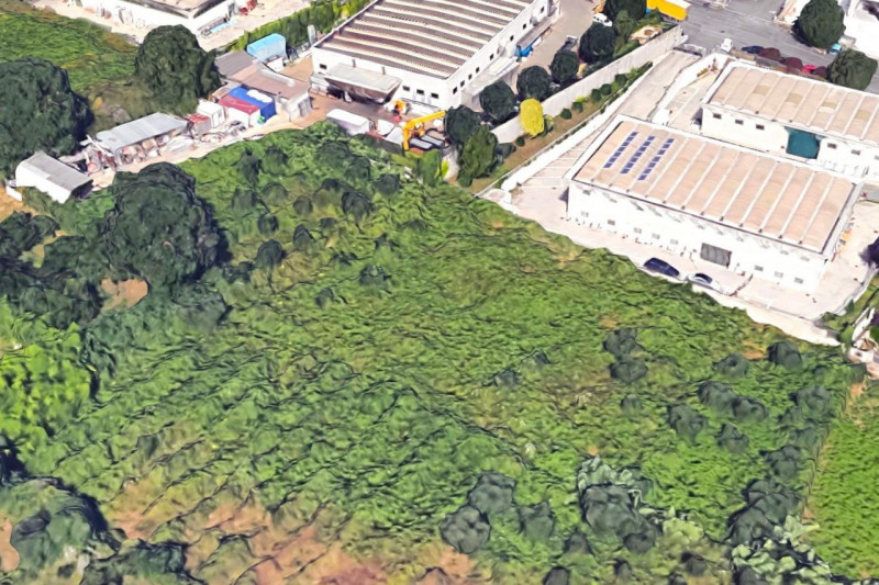 Immagine 2 di Terreno in vendita  in Via Colle della Castagna, N. Snc a San Cesareo