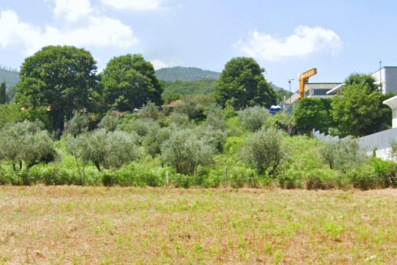 Immagine 3 di Terreno in vendita  in Via Colle della Castagna, N. Snc a San Cesareo