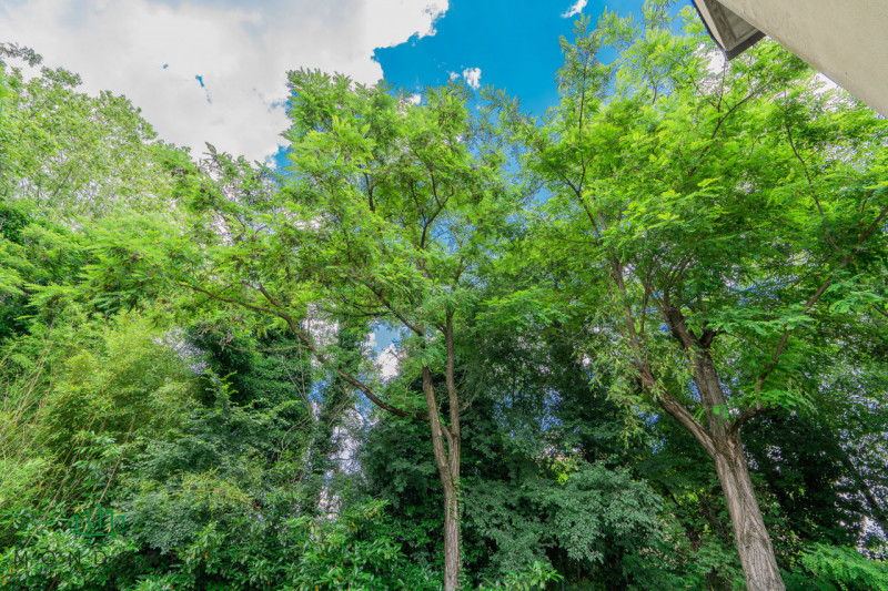 Immagine 3 di Villa in vendita  in via san lorenzo a Sasso Marconi