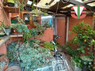 Immagine 5 di Casa bifamiliare in vendita  a Noale