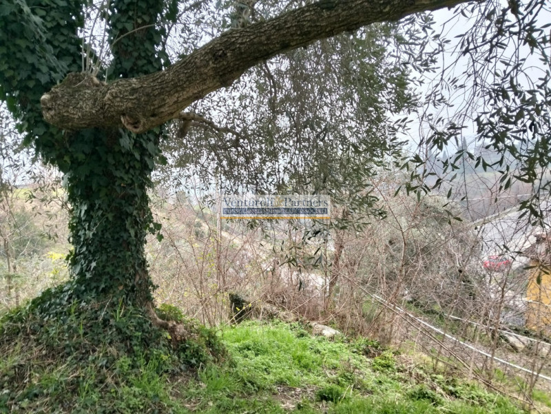 Immagine 5 di Terreno in vendita  in Via Europa a Salò