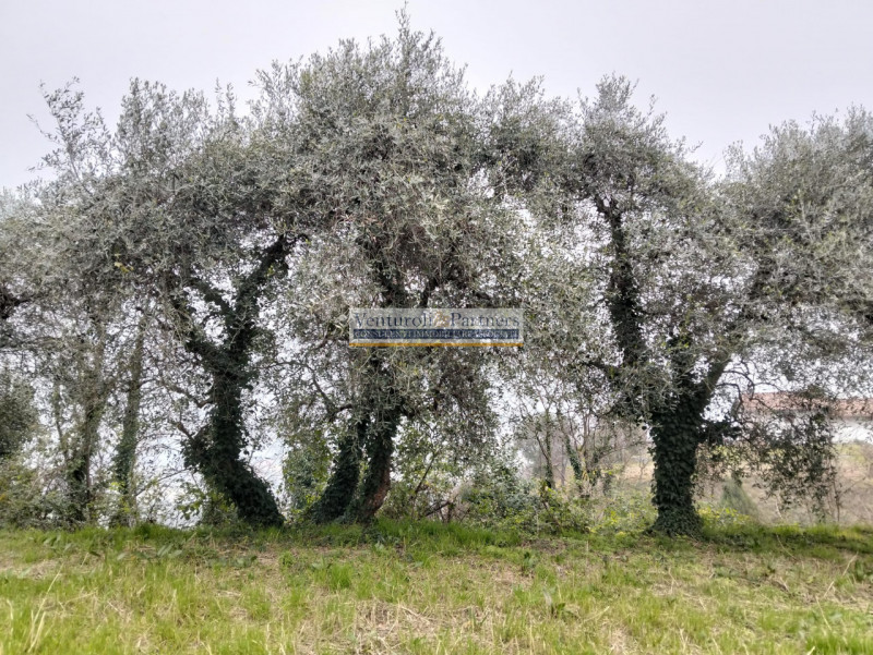 Immagine 7 di Terreno in vendita  in Via Europa a Salò