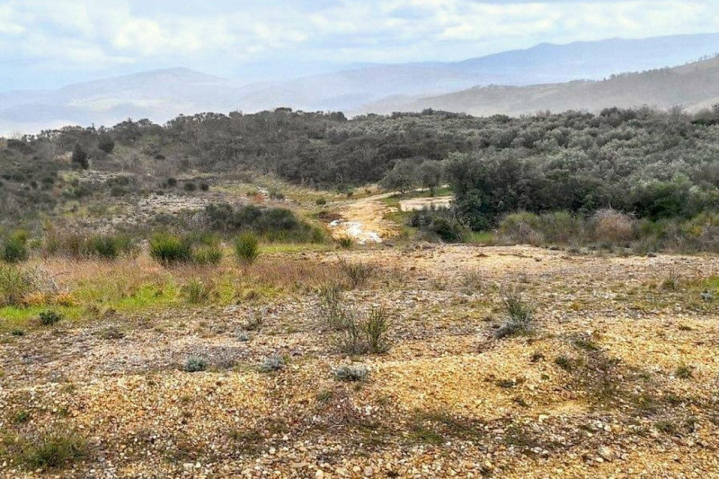 Immagine 2 di Terreno in vendita  in Località Il Poggio, N. Snc a Todi