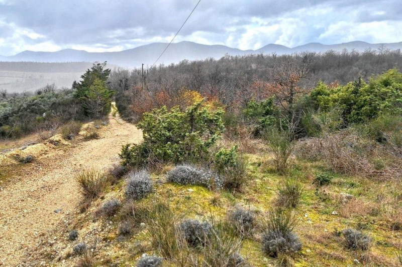 Immagine 3 di Terreno in vendita  in Località Il Poggio, N. Snc a Todi