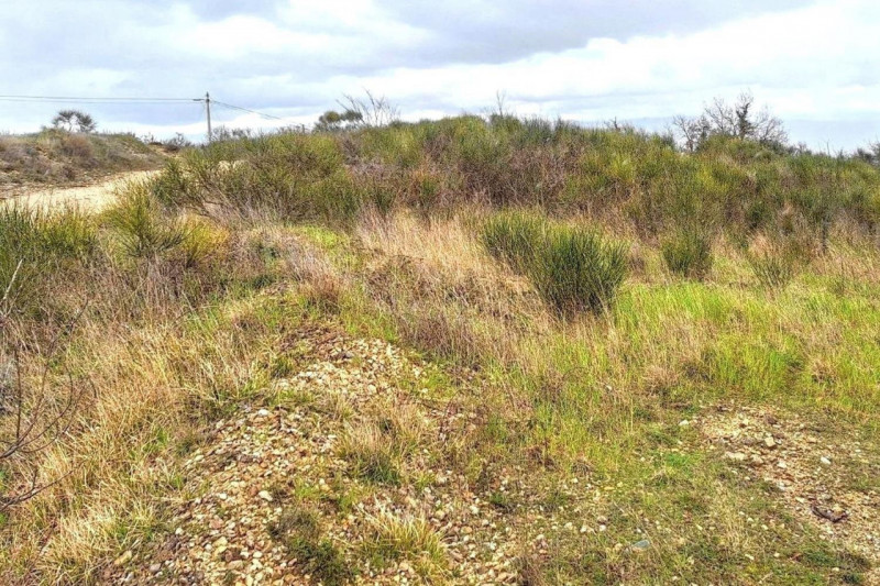 Immagine 6 di Terreno in vendita  in Località Il Poggio, N. Snc a Todi