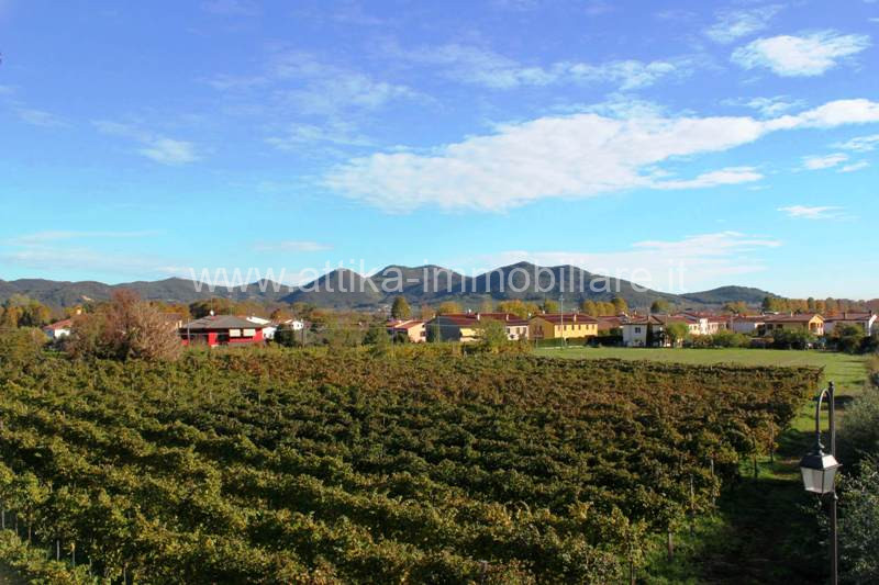 Immagine 1 di Terreno in vendita  in Via Giacomo Puccini a Galzignano Terme