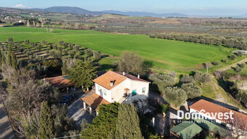 Immagine 2 di Rustico / casale in vendita  in Strada della Ficona a Capalbio