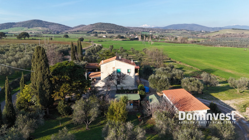 Immagine 3 di Rustico / casale in vendita  in Strada della Ficona a Capalbio