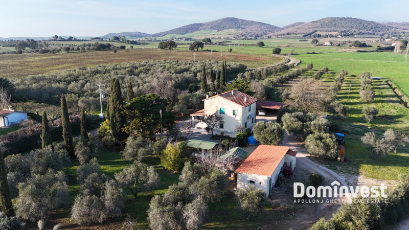 Immagine 4 di Rustico / casale in vendita  in Strada della Ficona a Capalbio