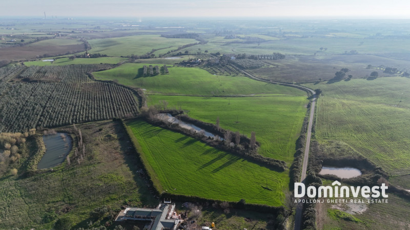 Immagine 6 di Rustico / casale in vendita  in Strada della Ficona a Capalbio