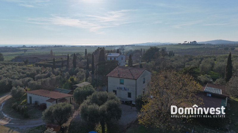Immagine 9 di Rustico / casale in vendita  in Strada della Ficona a Capalbio
