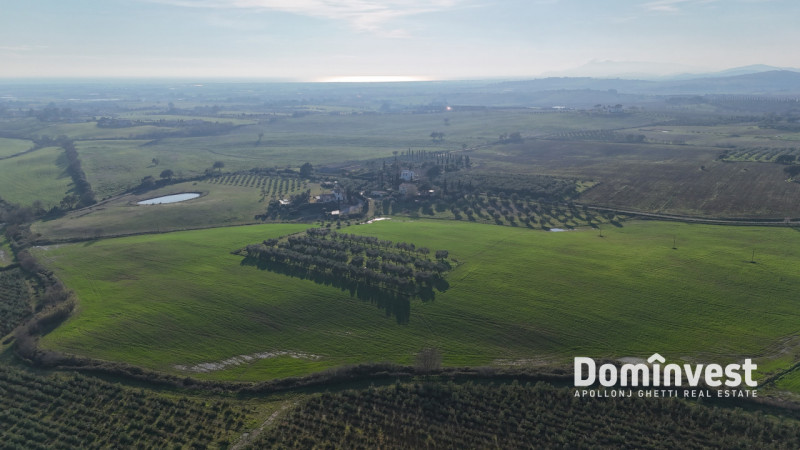 Immagine 11 di Rustico / casale in vendita  in Strada della Ficona a Capalbio