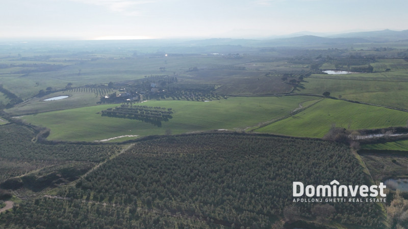 Immagine 12 di Rustico / casale in vendita  in Strada della Ficona a Capalbio