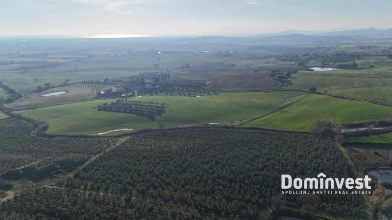 Immagine 13 di Rustico / casale in vendita  in Strada della Ficona a Capalbio
